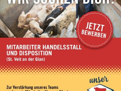 Mitarbeiter Handelsstall und Disposition (St.Veit) Vollzeit