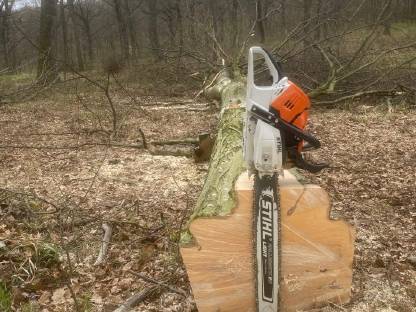 Bild 5:Agrar- und Forstdienstleistungen