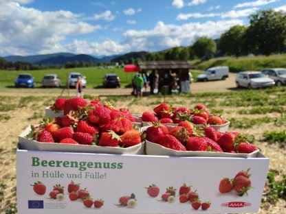 Beerengarten Feldkirchen/K. sucht Karenzvertretung Feb - Okt