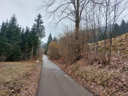 Bild 4:Lichtraumprofil, Wegepflege mit Astsäge, Mulcher, Woodcracker