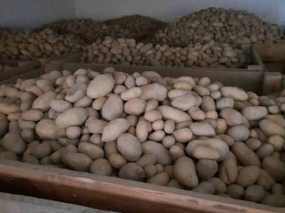 Bild 4:Verkaufe Kartoffeln, Erdäpfel (Ditta, Valdivia)