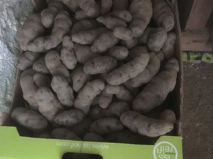 Bild 2:Karotten und Speisekartoffeln