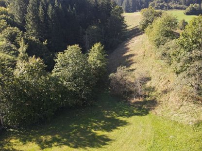 Landwirtschaftliche Nutzfläche: Wiese/Weide