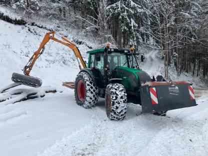 Bild 2:Auslegemulcharbeiten Mulchen