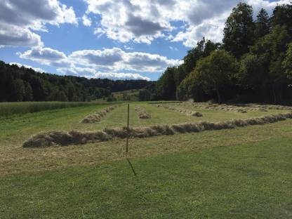 Heuballen Heukleinballen Kleinballen Heu vom 1. Schnitt 2023