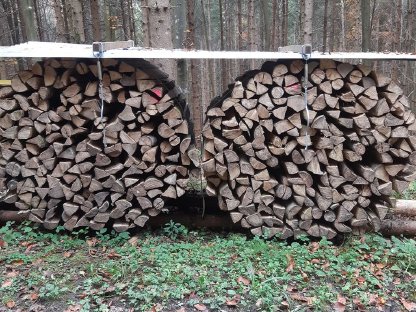 Holzbündel Brennholz Esche