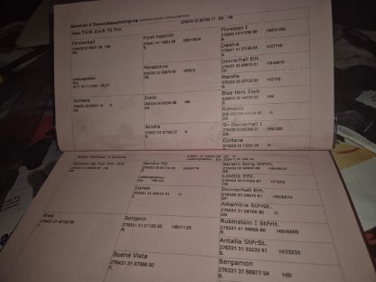 Bild 5:Dressurbetontes Hengstfohlen mit Qualität zu verkaufen