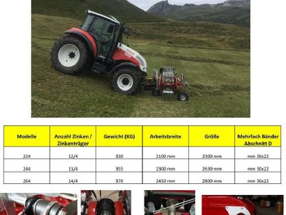 Bild 7:Massimo Bandrechen mit Längspendelung