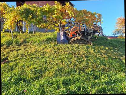 Bild 3:Mäh- und Mulchservice