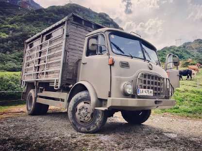 Steyr 680 Pferdetransporter Bj. 1972