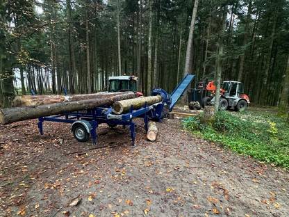Bild 3:Lohnsägen, Lohnspalten mit Tajfun Sägespaltautomat RCA 480