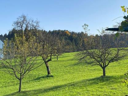 Fruchtgenussrecht Obstbäume (Bio)