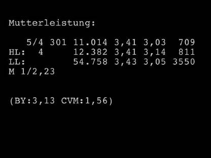 Kalbinnen HF RF zu verkaufen