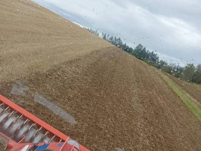 Bild 4:Biete Kreiselarbeiten an