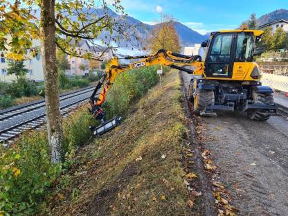 Bild 7:Lichtraumprofil, Wegepflege mit Astsäge, Mulcher, Woodcracker