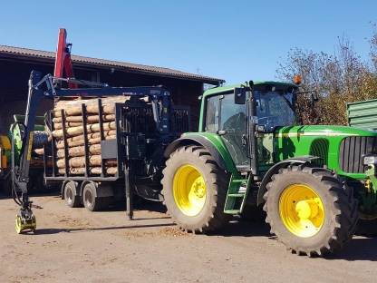 Bild 6:Holztransport, Stammholz, Reisig