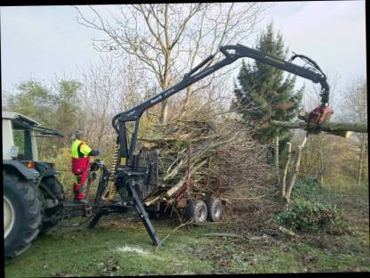 Holzschlägerungen und Durchforstungen