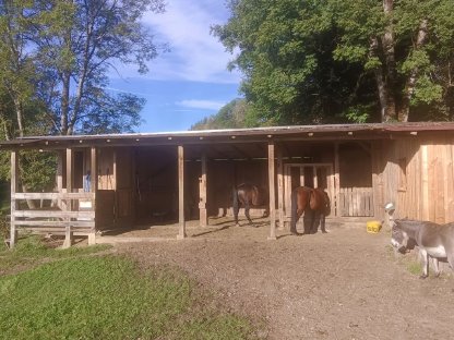 Pferdeeinstellplatz, Offenstall, Paradies (St. Veit/Glan)