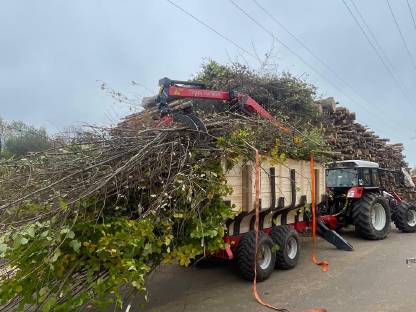 Gartenpflege, Abtransport, Rodungen etc.