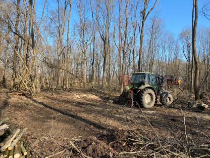 Bild 8:Agrar- und Forstdienstleistungen