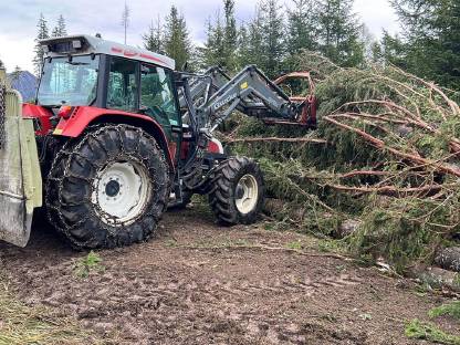 Holzschlägerung und Bringung