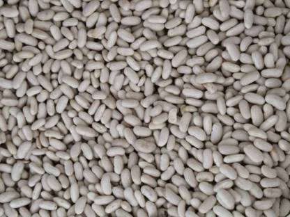 Bild 6:Stangenbohnen