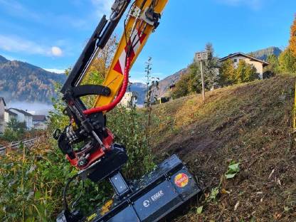 Bild 8:Lichtraumprofil, Wegepflege mit Astsäge, Mulcher, Woodcracker