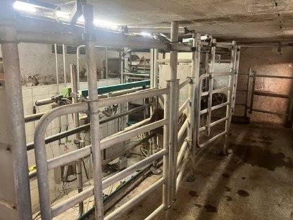 Bild 3:Tandemmelkstände 3 Stk.