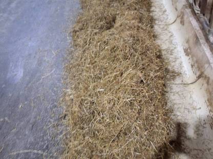 Silageballen