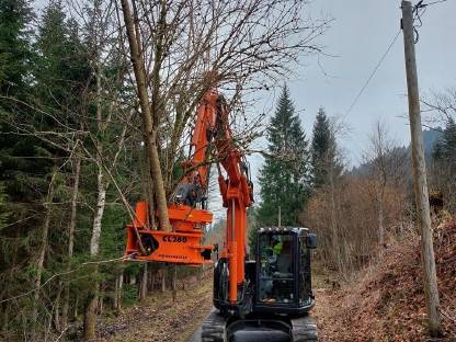 Bild 6:Lichtraumprofil, Wegepflege mit Astsäge, Mulcher, Woodcracker