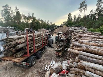 Bild 3:Holztransport, Stammholz, Reisig