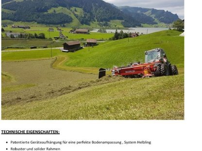 Bild 4:Massimo Bandrechen mit Längspendelung