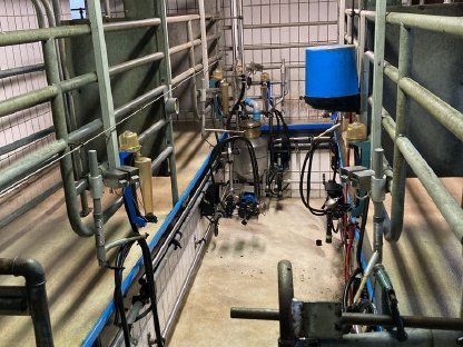 5-Boxen Tandem-Melkstand Alfa Laval