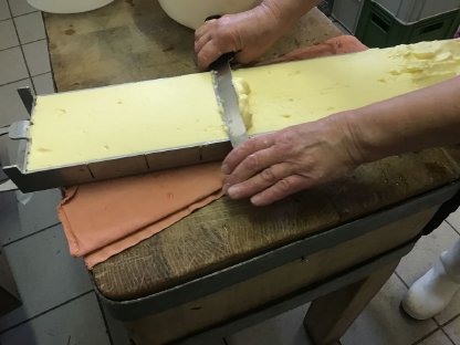 Bild 3:Mehrfach-Butterform, Buttermodel