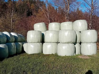 Verkaufe Silageballen