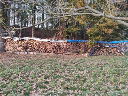 Bild 3:Brennholz (Hartholz)