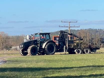 Bild 5:Holztransport, Stammholz, Reisig