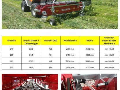 Bild 8:Massimo Bandrechen mit Längspendelung