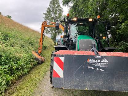 Bild 4:Auslegemulcharbeiten Mulchen