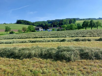 Verkaufe Kleinheuballen und Rundballen, Warmluft belüftet