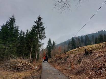 Bild 5:Lichtraumprofil, Wegepflege mit Astsäge, Mulcher, Woodcracker