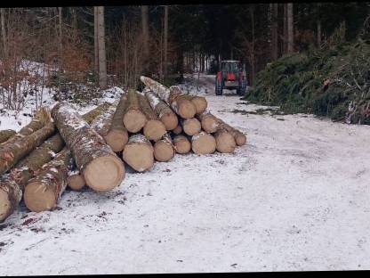 Bild 2:Holzschlägerungen jeglicher Art
