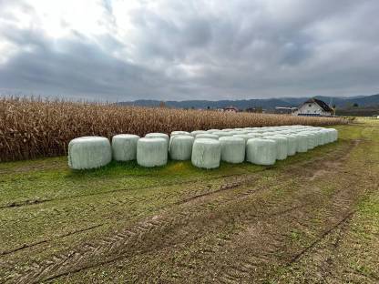 Maissilageballen