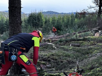 Holzschlägerung, Rückung, Durchforstung