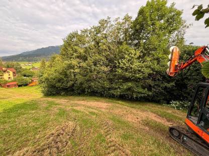 Bild 2:Lichtraumprofil, Wegepflege mit Astsäge, Mulcher, Woodcracker