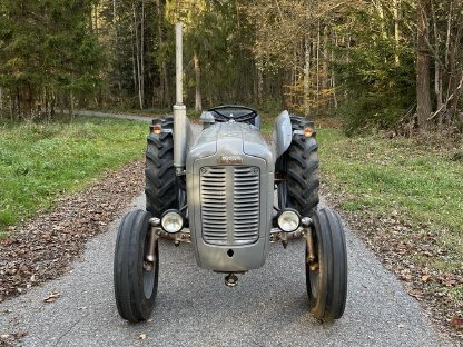 Massey Ferguson 35x Goldbauch