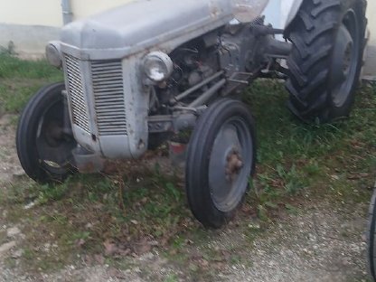 Verkaufe Oldtimer Massey Ferguson TE 20 Benzinmotor