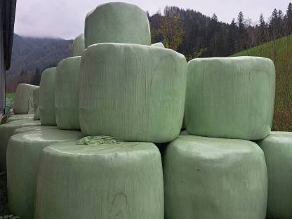 Silageballen 1. Schnitt