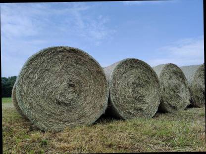 Heuballen zu verkaufen