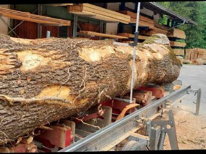 Bild 4:Mobiler Lohnschnitt und Forstarbeiten